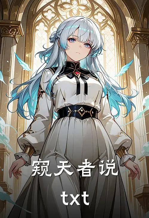 窥天者说txt